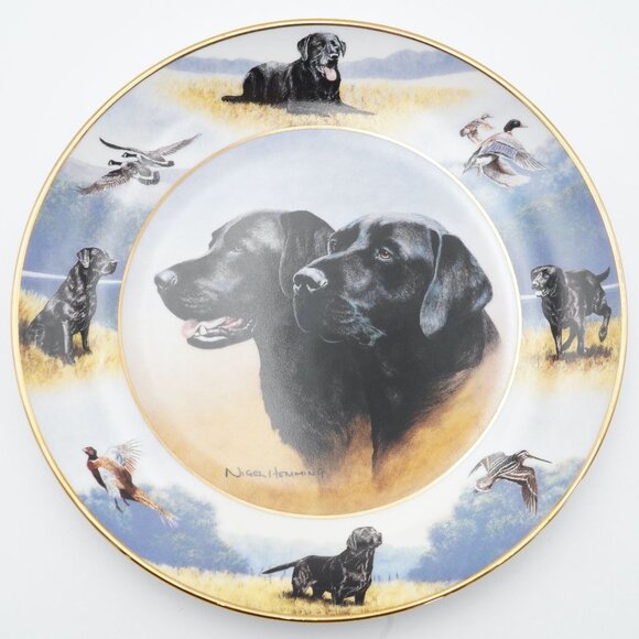 Royal Doulton The Sporting Life by Nigel Hemming Labrador Retriever 8" Plate - Picture 3 of 5